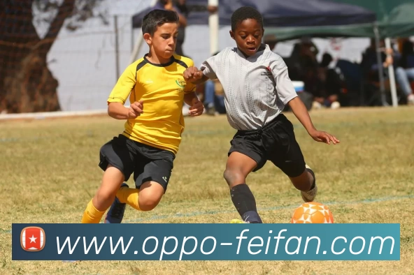 非凡娱乐发展历程