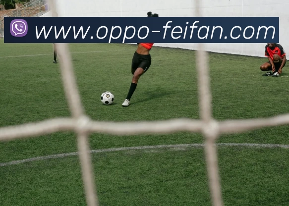 曼城一年内豪掷48亿引援阵容大换血多名明星球员加盟